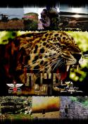 81077_bignotebook.