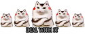 81100_ibcDaPdx0OgAqK.