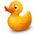 81191_1231_duck.