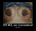 81192_VK_mS_qvic0.