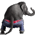 81233_foto-gambar-animasi-bergerak-lucu-model-gajah.