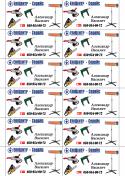 81408_rubl-epi.