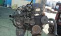 81490_3787742cleanowcumfovedo6076958.