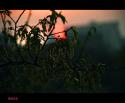 8151DSC_0108.