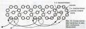 81532_ukrashenie-iz-bisera-.
