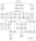 81635_Potion_flow_chart.