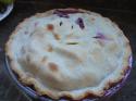 81704_blueberry_pie.