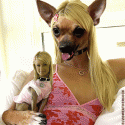 818_Paris_Hilton_n_dog.