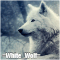 82049_whi3.