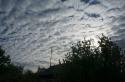 8208_DSC01933.