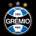 8214Gremio128.