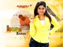 8215Poonam01_1024_190407.