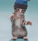 8219cat-kitten-with-silly-hat-dancing-animated-1-DHD.