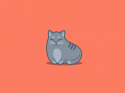 82217_file1773.
