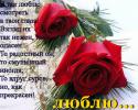 82290_1091416.