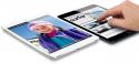 82306_02-2-iPad-mini-Survey.