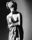 82391_ItalVenus.