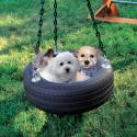 82397_3_chain_tire_swing.