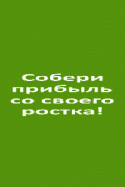 82533_200x300-RosTok.