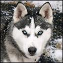 82680_JSdpkM-UVYw_copy.