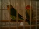 8280_IMAG0013.