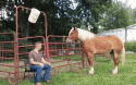 82867_funny-gif-horse-bucket-challenge.