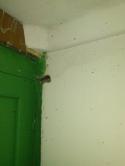 82901_CAM02790.