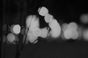 82903_tumblr_m3o8q0HpRv1r9xjxoo1_500.