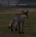 82915_Igry-Lineage-2-Lineage-shakal-1910676.