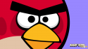 82919_oboi_red_bird.