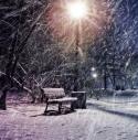 83039_winter-snow-lights-park-zima.