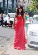 83065_494-chitrangda-singh.