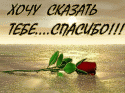 833150110975_44265925_1243262856_Hochu_skazat_.