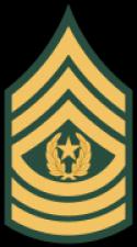 8333100px-US_Army_E-9_CSM_svg.