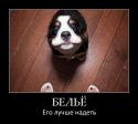 8333y_33fb553e.