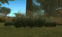 83566_gallery32.