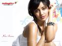 8356neha-sharma030309_1024_1.