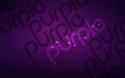 83583_3purpur.