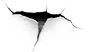 83831_3281701.
