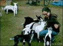 83945_tumblr_mpi9rl3jn41qdlh1io1_400.