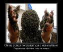 8404319624_on-ne-uspel-popraschatsya-s-megalajnom-_demotivators_ru.