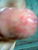 84059_Picture_017.
