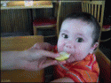 8407_1232547444_baby_eats_lemon.