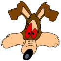 84082_Wile-E-Coyote-icon-1_-_kopiya.