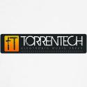 84088_torrentech_teddy_bear.