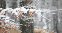 8408a466532ad0BUECNUC_48950_c53d57c4f5.