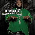 840900-esg-everyday_street_gangsta-2009.