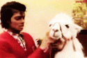 84150_michael-and-louie1.