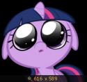 84197_675251.