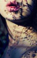 84217_wt4D51wnrvY.